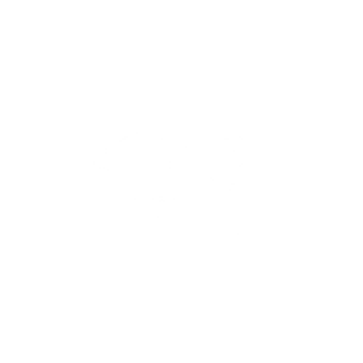 世界中医药学会联合会
