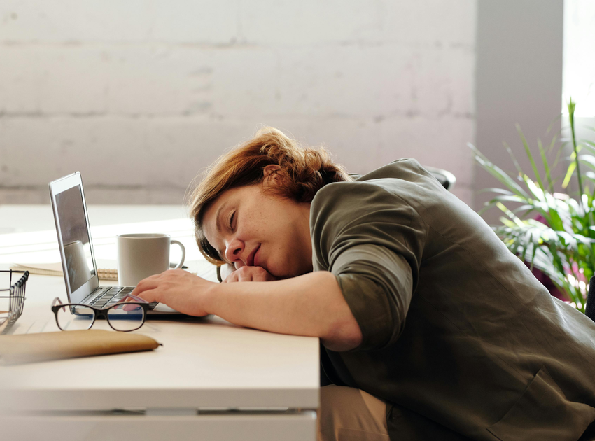 Array熬夜伤身，但有“后悔药”？江南大学最新：这种益生菌能调节生物钟基因，修复熬夜损伤的肠道屏障，甚至缓解焦虑，提升记忆力