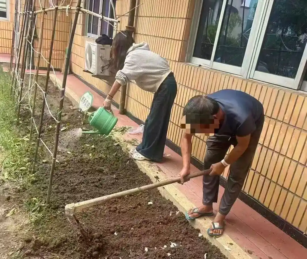 Array浙江40岁男子单身多年，焦虑失眠，医生申请了块地：去种菜