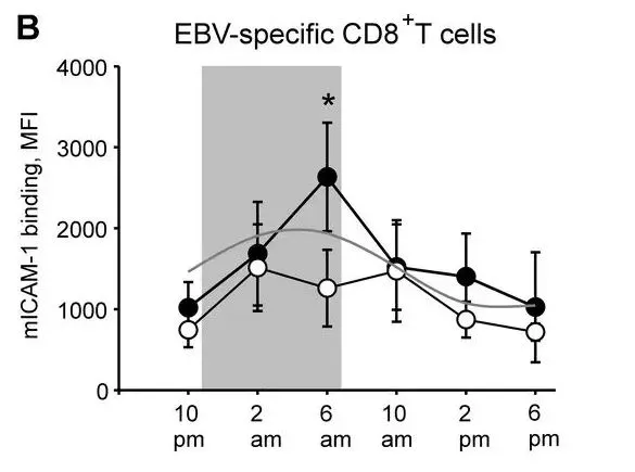 1716961102210786Z3cZ.png 2d2bdffa69e37e48cdbd7125bf1987a.png