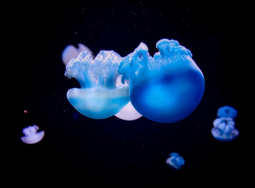 1716961793649601gwLD.png 33.png