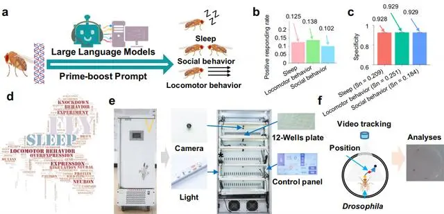 1727168068992475U2Oq.png 44.png