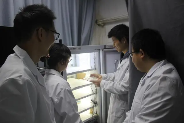 1727168085108997gpsb.png 55.png