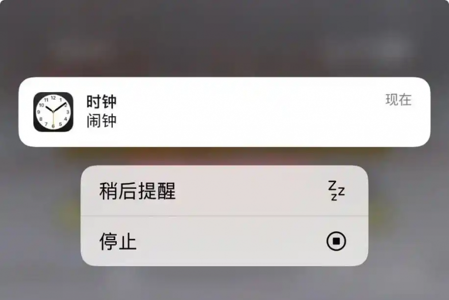 11.png