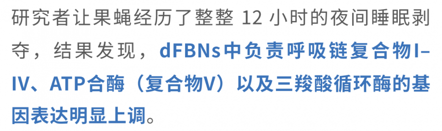 22.png