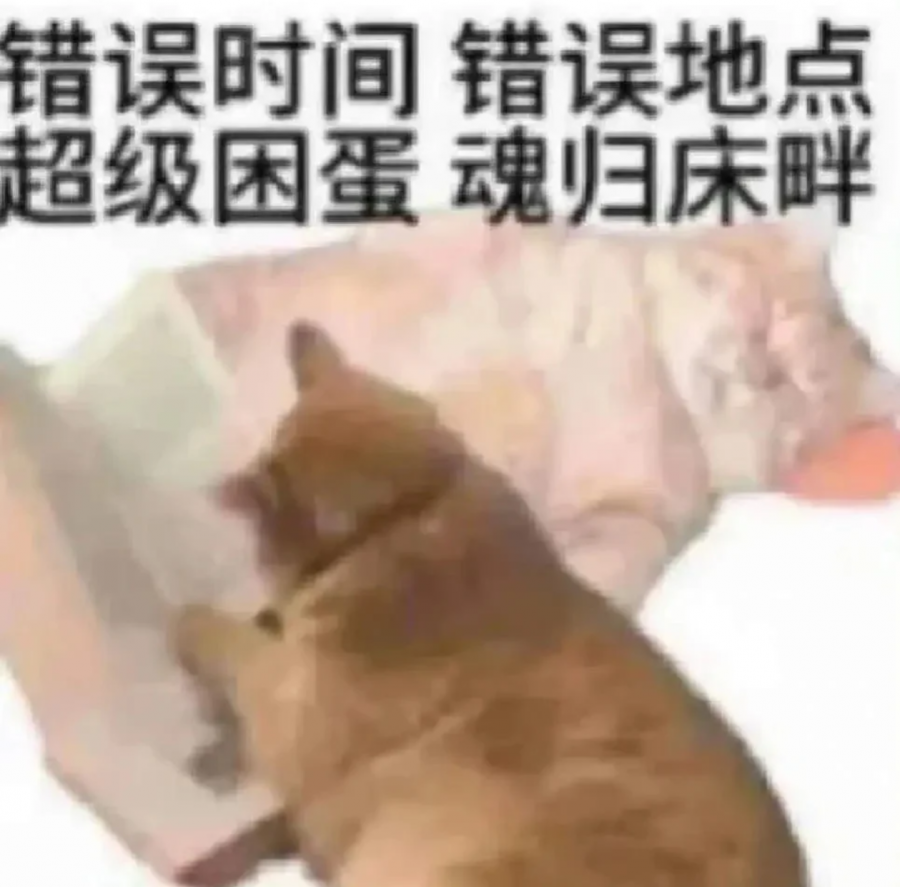 44.png