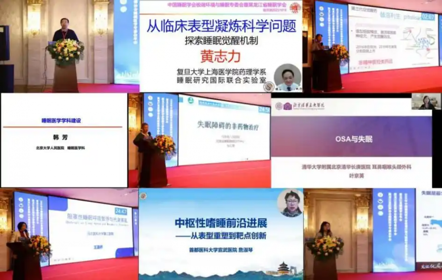 1761726385549569NSWi.png 44.png