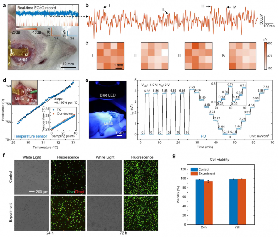 1764222101786975F2U7.png 55.png