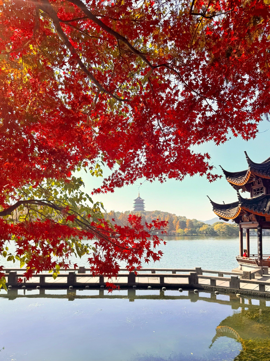 176492078524912753KM.png 1111.png