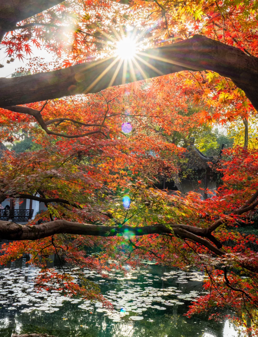 1764920871500166FnqC.png 2222.png