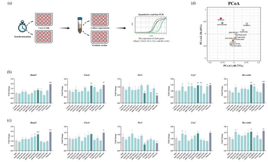 1764987867127150qLmv.png 22.png