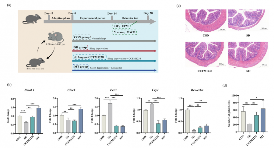 1764987881556966MNTp.png 33.png