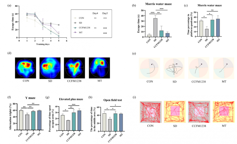 1764987907932173wq3O.png 44.png