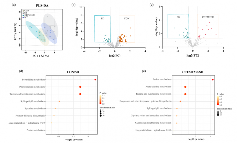 1764987982439841lZ1O.png 66.png