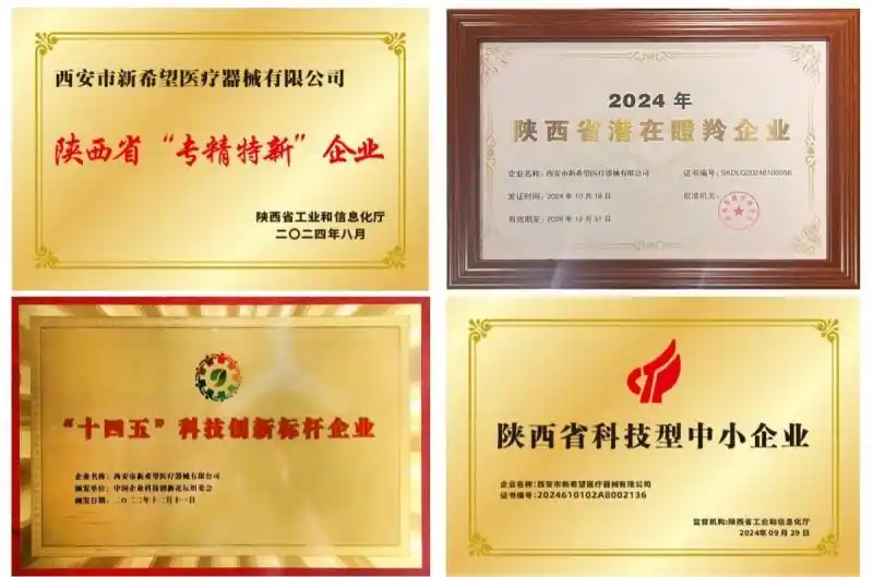 1765179538791211JFLo.png 66.png