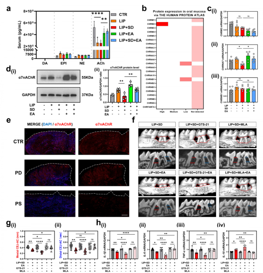 1765421413944745Q4Xq.png 33.png