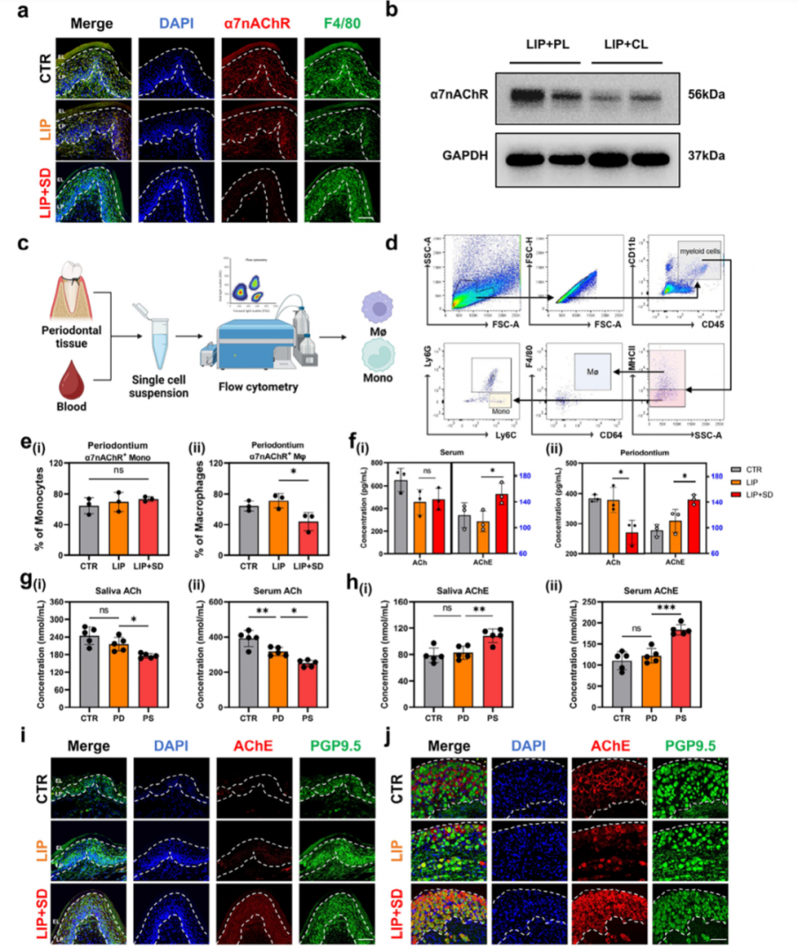 17654214384058622ux9.png 44.png