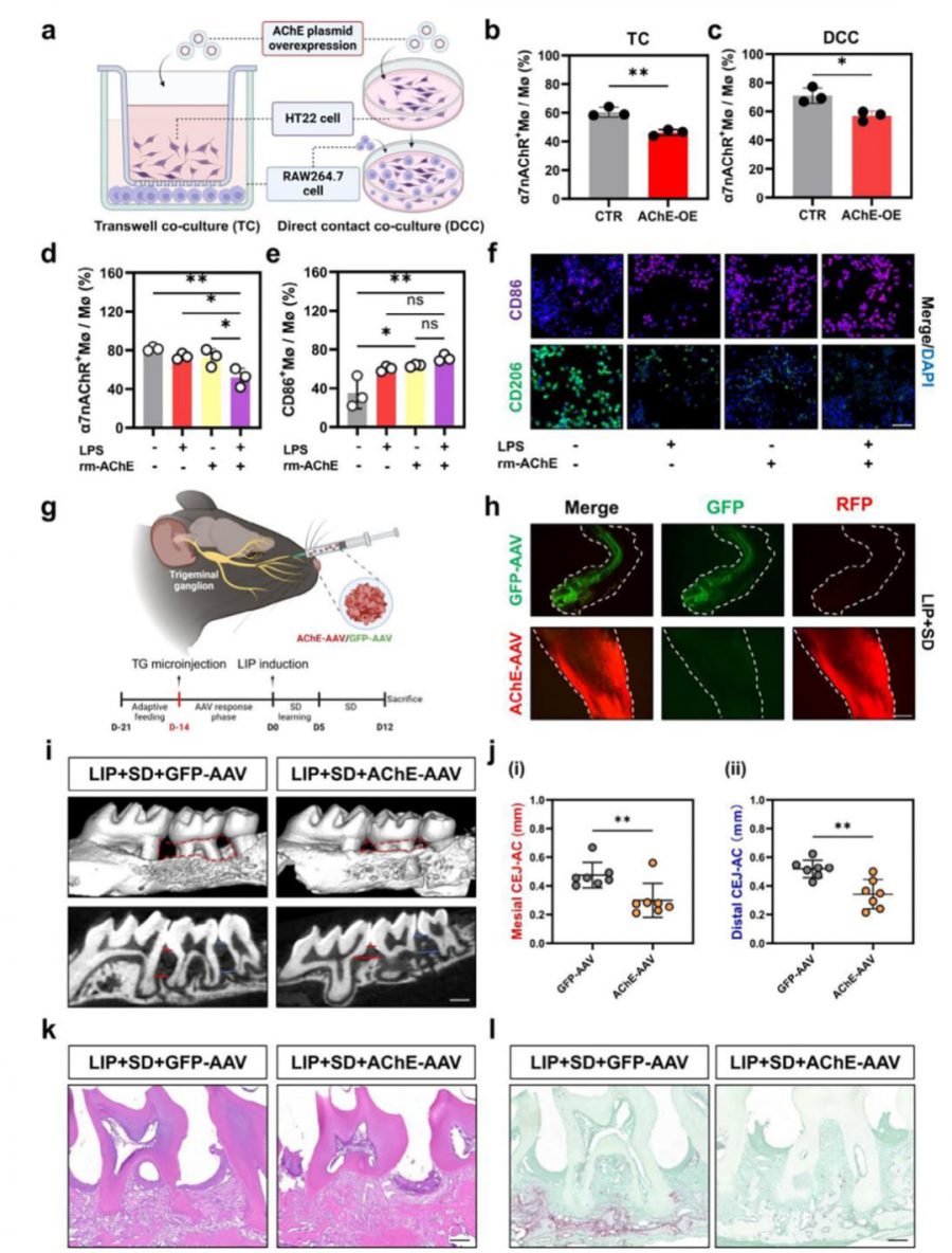 1765421453517452o6ai.png 55.png