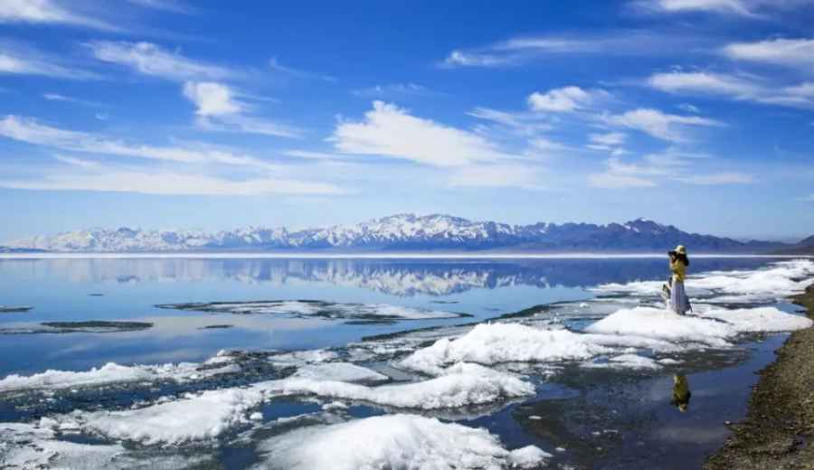 1765523972572878qM0X.png 222.png