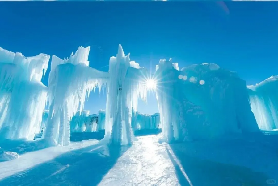 1765524079683867W0Px.png 333.png