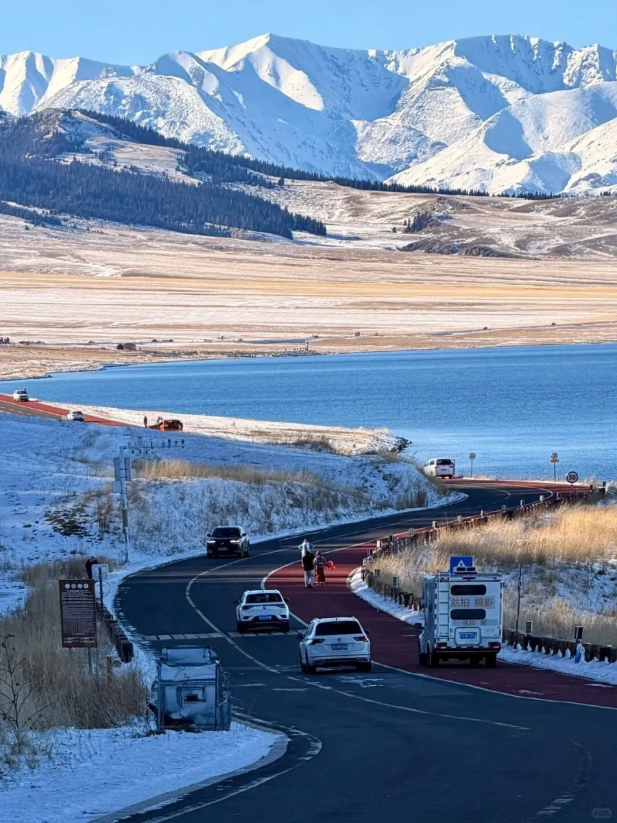 1765524162583589ElAt.png 444.png