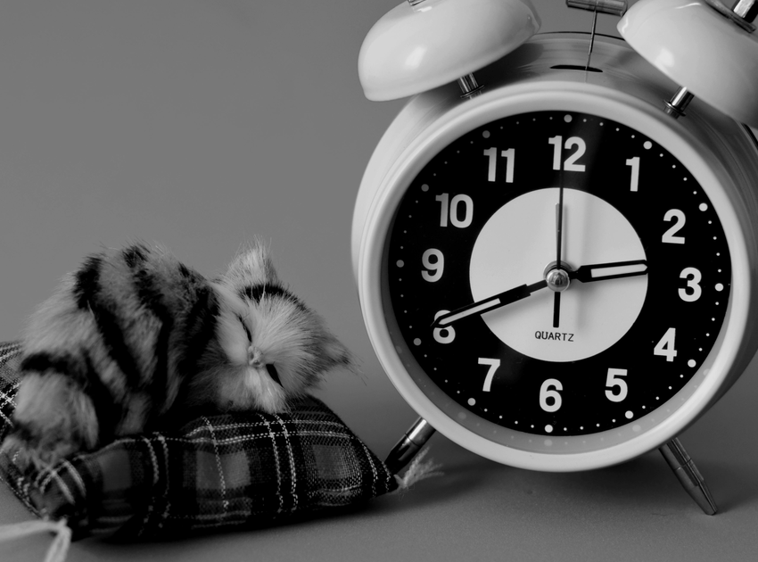 17674953489685049h0p.png 10.png