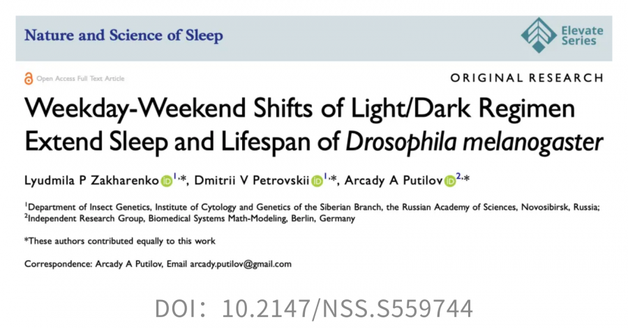 17695790051517431lyV.png 11.png