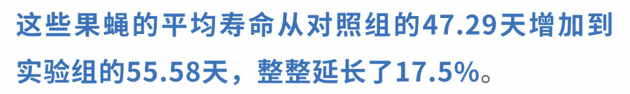 17695790961062590AM8.png 33.png