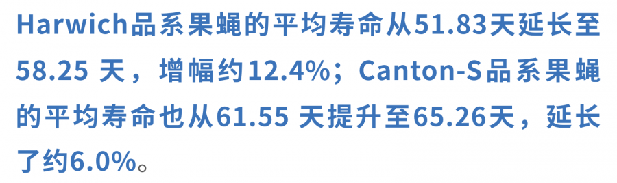 1769579124707813Z9df.png 44.png