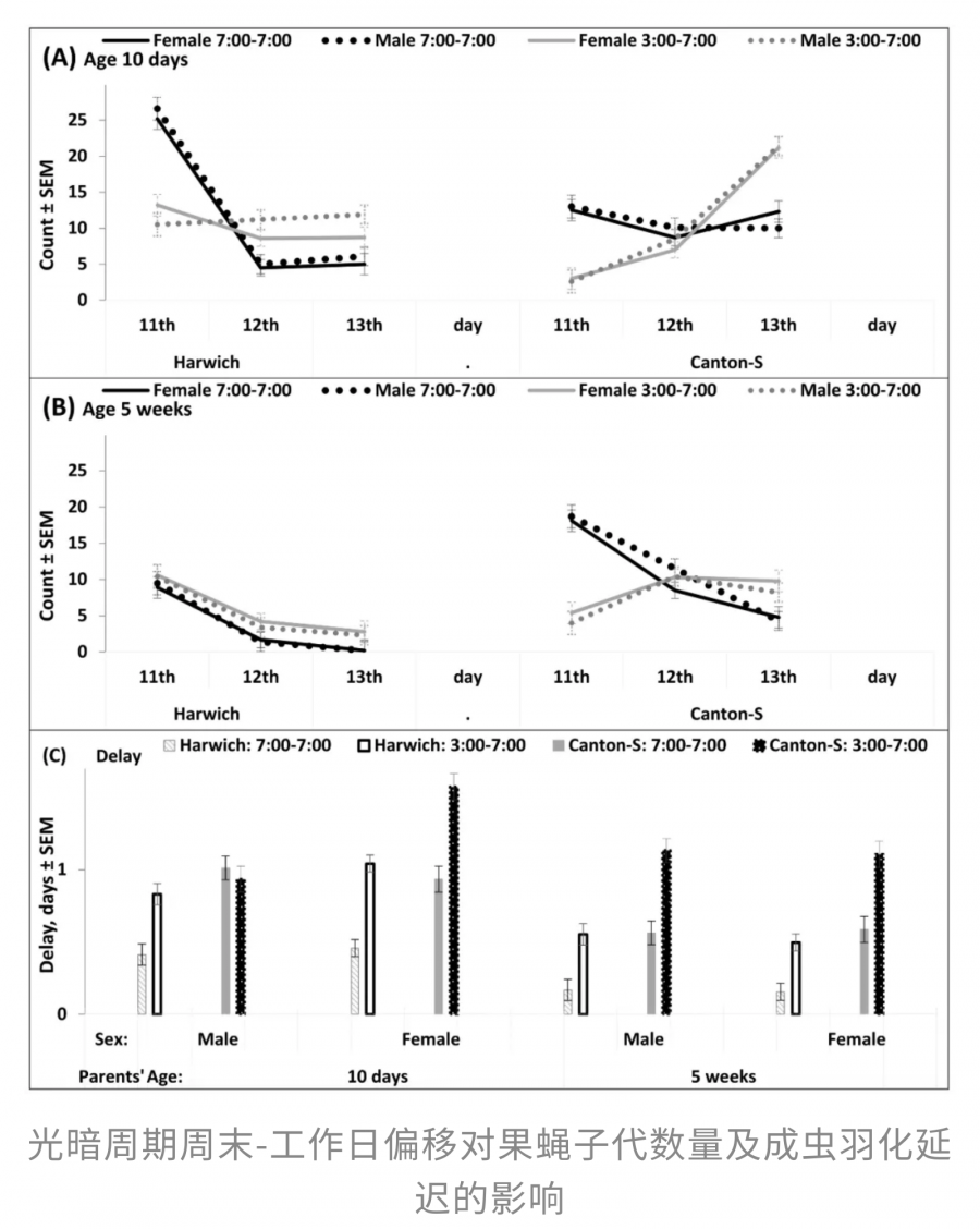 1769579207794721bRss.png 66.png