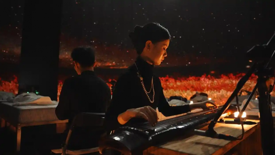 1774940516882254NoL8.png 22.png