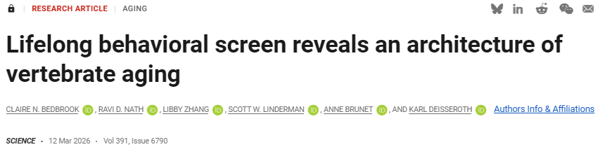 1775202391992915xj2f.png 44.png