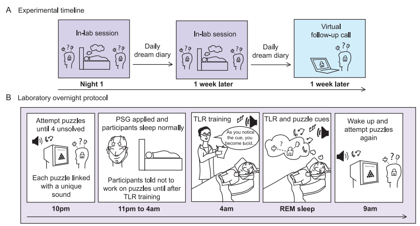 1775533233968038p6DB.png 11.png