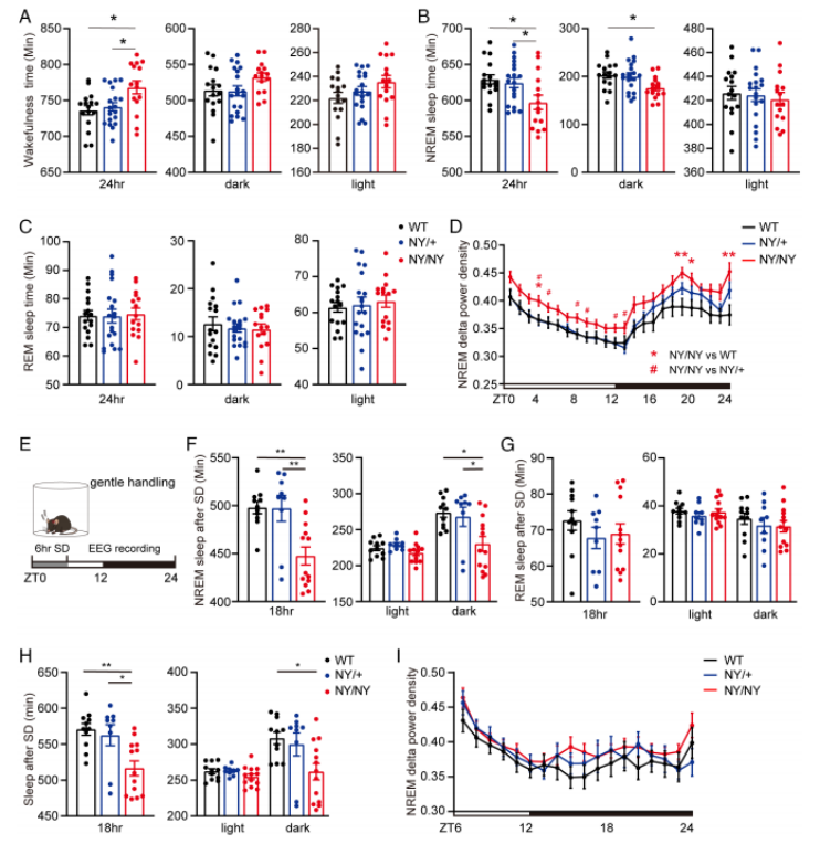 1775541009779454bgEj.png 55.png