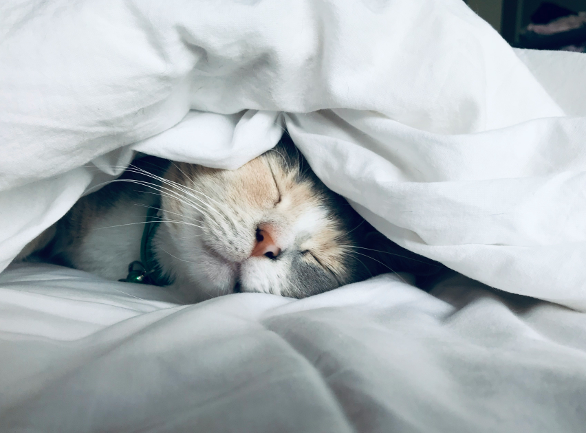 1775804163649907NYxg.png 33.png