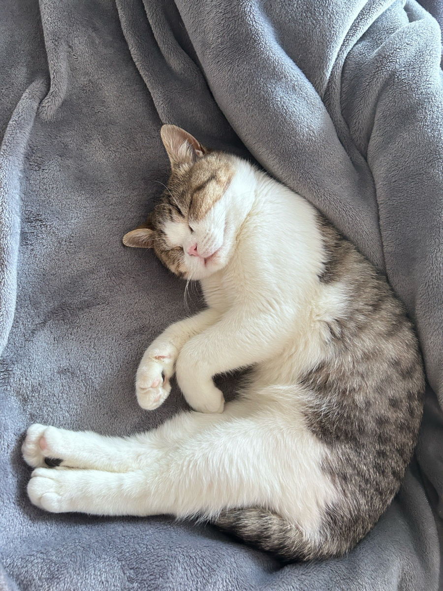 1775804198135689LRbO.png 1111.png